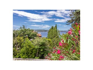 Villa Crikvenica Registrazione all'aperto 4