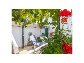 Villa Crikvenica Environnement 31