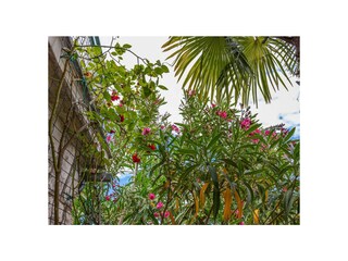 Villa Crikvenica Buitenaudio-opname 10