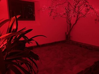 Magnetidbad Wellnessbereich