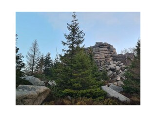 Maison de vacances Schierke Environnement 19