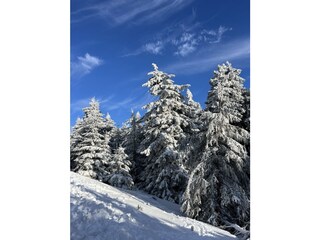 Casa per le vacanze Schierke Ambiente 23