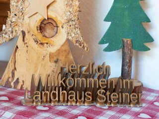 Ferienhaus Ramsau im Zillertal  40