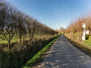 Vakantiehuis Kemmel Omgeving 37