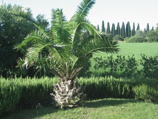 Casa per le vacanze Lazise Registrazione all'aperto 7