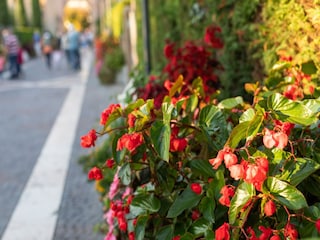 Holiday house Lazise  40