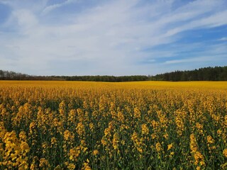 Casa per le vacanze Bønnerup Strand  19
