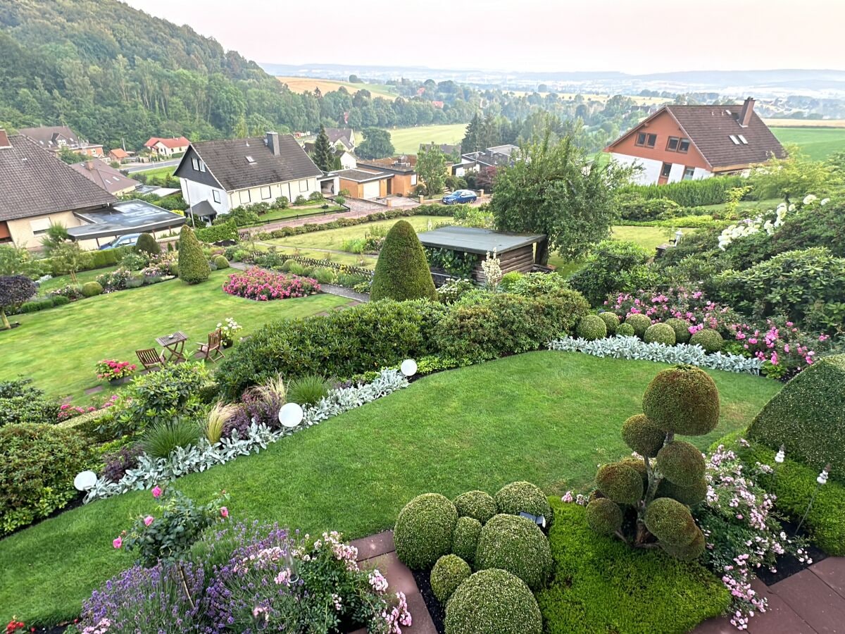 Blick in den Garten