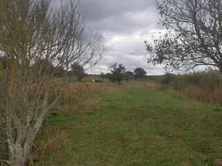 Ferienhaus Dannemare  14