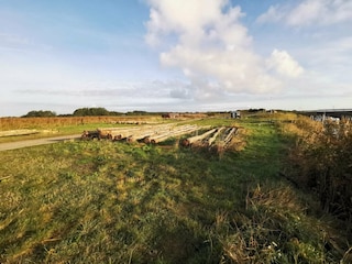 Ferienhaus Dannemare  34