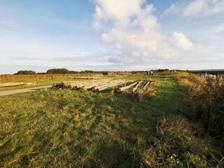 Holiday house Dannemare  13