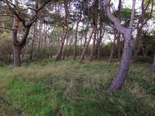 Casa per le vacanze Dannemare  36