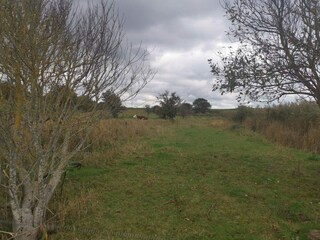 Ferienhaus Dannemare  10