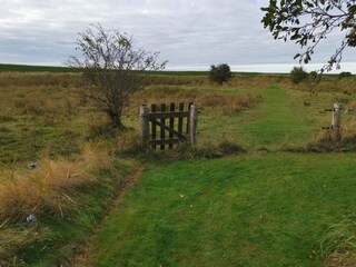 Holiday house Dannemare  16