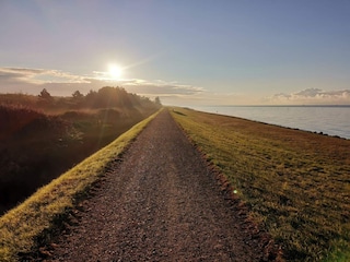 Ferienhaus Dannemare  28