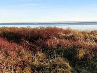 Ferienhaus Eskov Strandpark  19