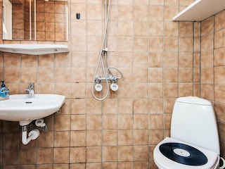 Vakantiehuis Ringkøbing  6