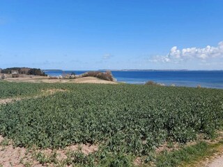 Vakantiehuis Nykøbing Sjælland  30
