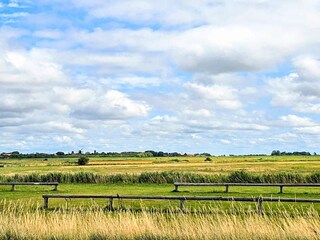 Ferienhaus Højer  30
