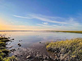 Ferienhaus Højer  15