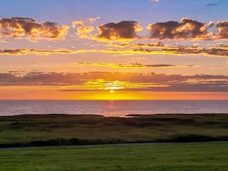 Ferienhaus Højer  13