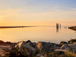 Ferienhaus Højer  14