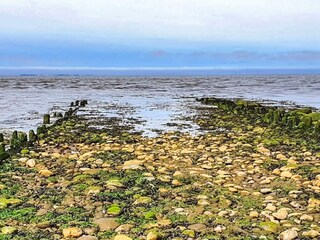 Holiday house Højer  11