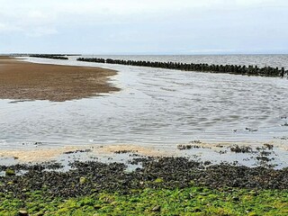 Holiday house Højer  55