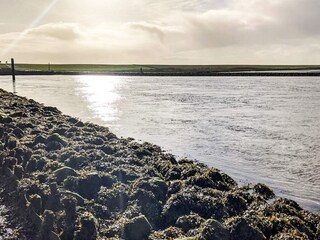 Casa de vacaciones Højer  32