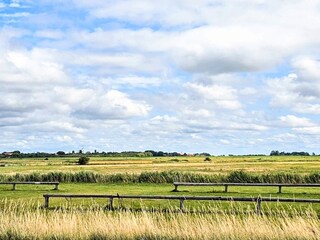 Ferienhaus Højer  21