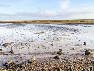 Vakantiehuis Højer  23