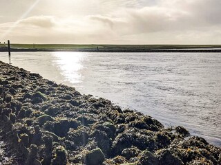 Casa per le vacanze Højer  52