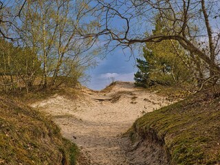 Ferienhaus Høll  24
