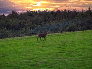 Vakantiehuis Hejlsminde  11