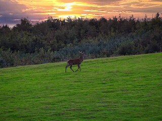 Vakantiehuis Hejlsminde  5