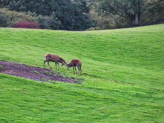 Vakantiehuis Hejlsminde  7