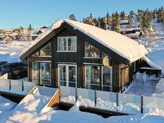 Vakantiehuis Treungen (Telemark) Buitenaudio-opname 5