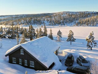 Vakantiehuis Treungen (Telemark) Buitenaudio-opname 6