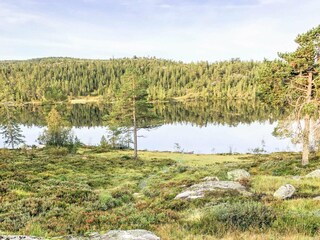 Vakantiehuis Treungen (Telemark)  19