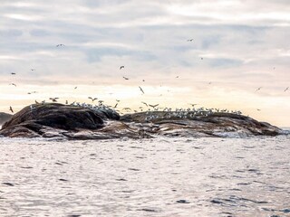 Holiday house Eide  20