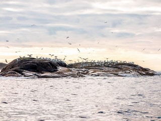 Vakantiehuis Eide  21