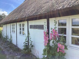 Casa per le vacanze Læsø Registrazione all'aperto 8