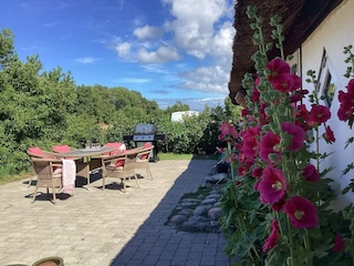 Vakantiehuis Læsø Buitenaudio-opname 5