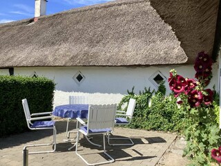 Casa per le vacanze Læsø Registrazione all'aperto 7