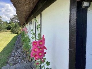 Vakantiehuis Læsø Buitenaudio-opname 3