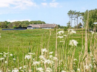 Vakantiehuis Læsø Buitenaudio-opname 4