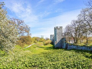 Vakantiehuis Visby  17