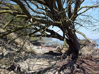 Ferienhaus Sydals  18