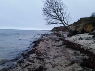 Ferienhaus Sydals  33