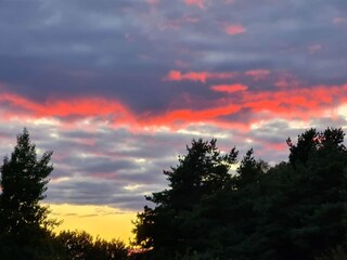 Maison de vacances Falkvik  15